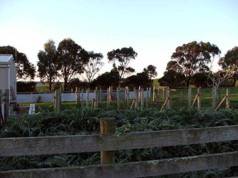 6 Joseph Road, Corinella VIC 3984