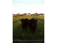 6 Joseph Road, Corinella VIC 3984