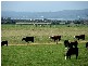 499 Agar Rd, Coronet Bay VIC 3984