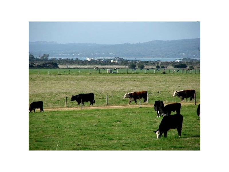 499 Agar Rd, Coronet Bay VIC 3984