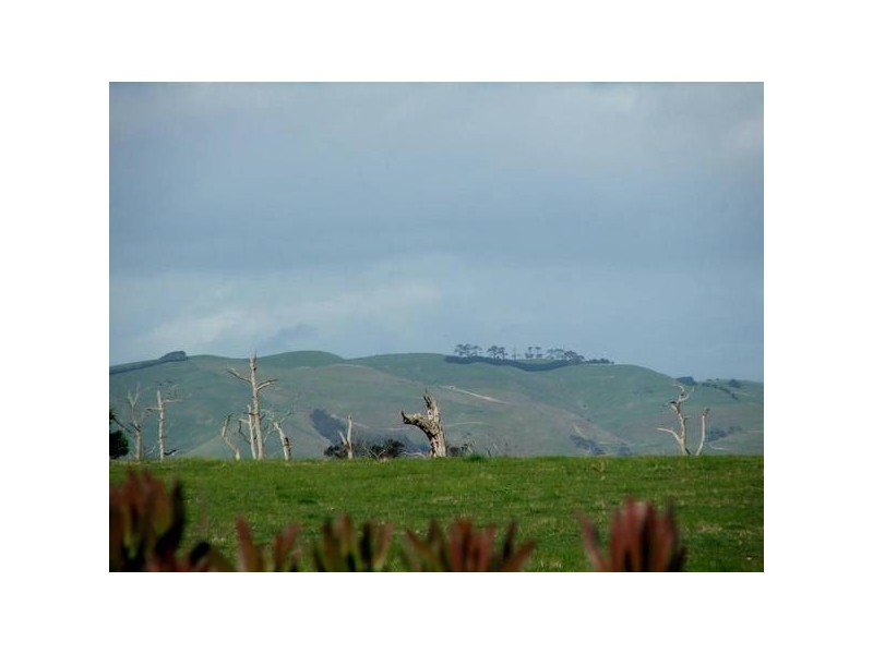 499 Agar Rd, Coronet Bay VIC 3984