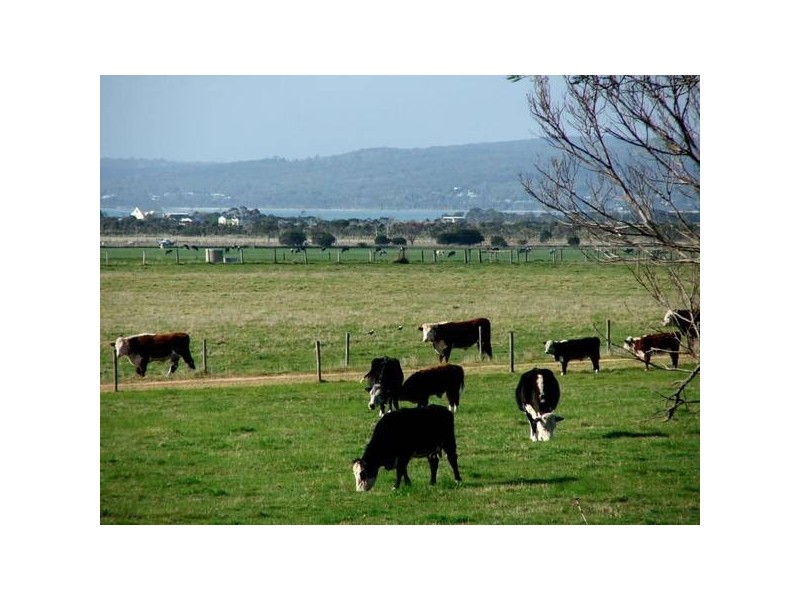499 Agar Rd, Coronet Bay VIC 3984