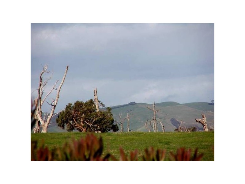 499 Agar Rd, Coronet Bay VIC 3984