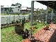 64 Kallay Dve, Pioneer Bay, Pioneer Bay VIC 3984