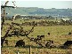 497 Corinella Road, Corinella VIC 3984