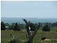497 Corinella Road, Corinella VIC 3984