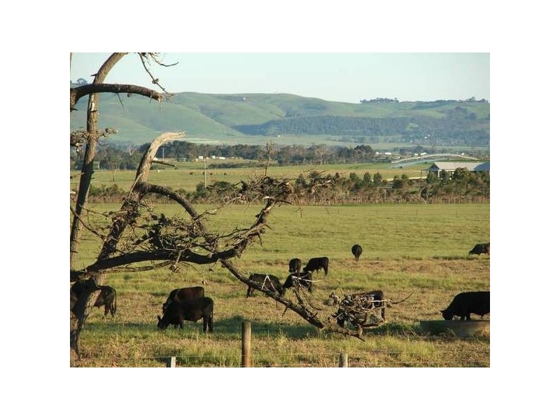 495 Corinella Road, Corinella VIC 3984