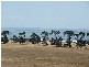 364 Agar Rd,, Coronet Bay VIC 3984