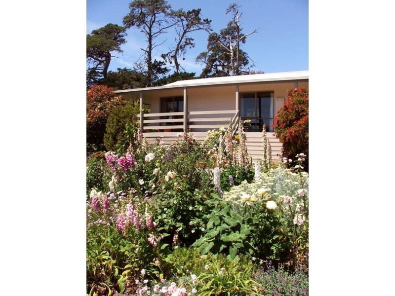 133 Jamieson Street, Corinella VIC 3984