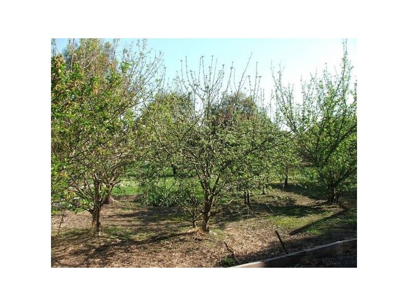 13 Withers Lane, Bass VIC 3991