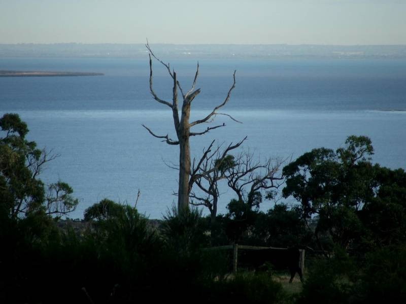 165 St Heliers Road,, The Gurdies VIC 3984