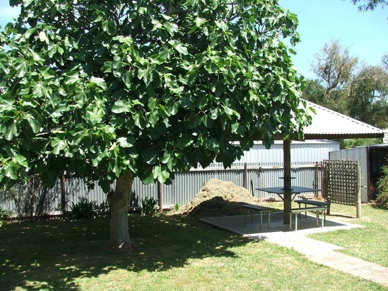 20 Shenandoah Road, Coronet Bay VIC 3984