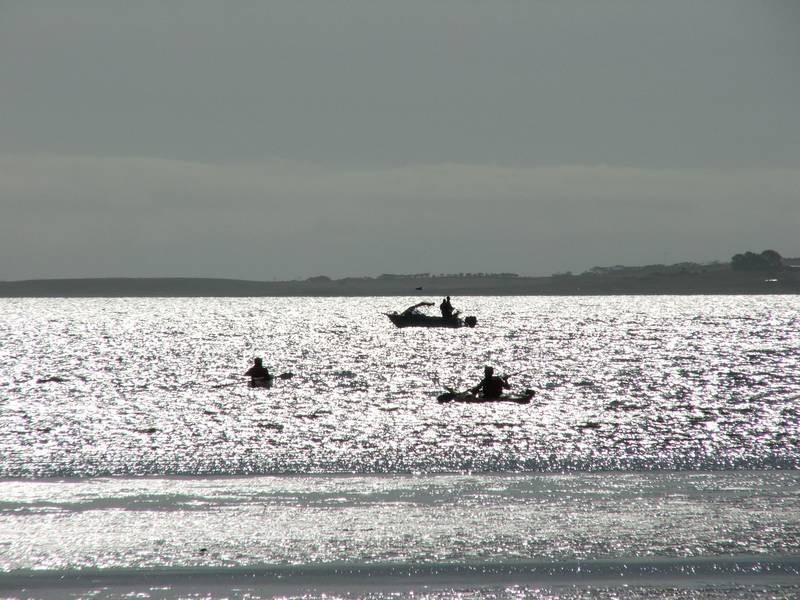 20 Shenandoah Road, Coronet Bay VIC 3984