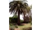 730 Grantville-Glen Alvie Road, Grantville VIC 3984