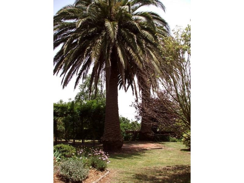 730 Grantville-Glen Alvie Road, Grantville VIC 3984