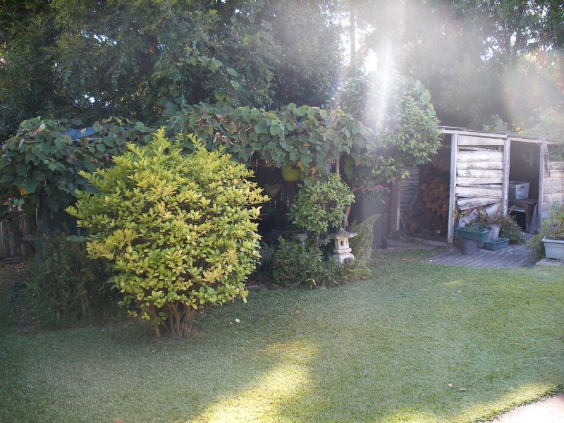 139 Adelaide Street, Raymond Terrace NSW 2324