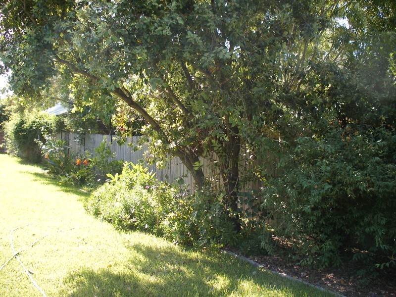 6 Nottingham Close, Raymond Terrace NSW 2324