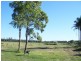 106 Cabbage Treee Rd, Williamtown NSW 2318