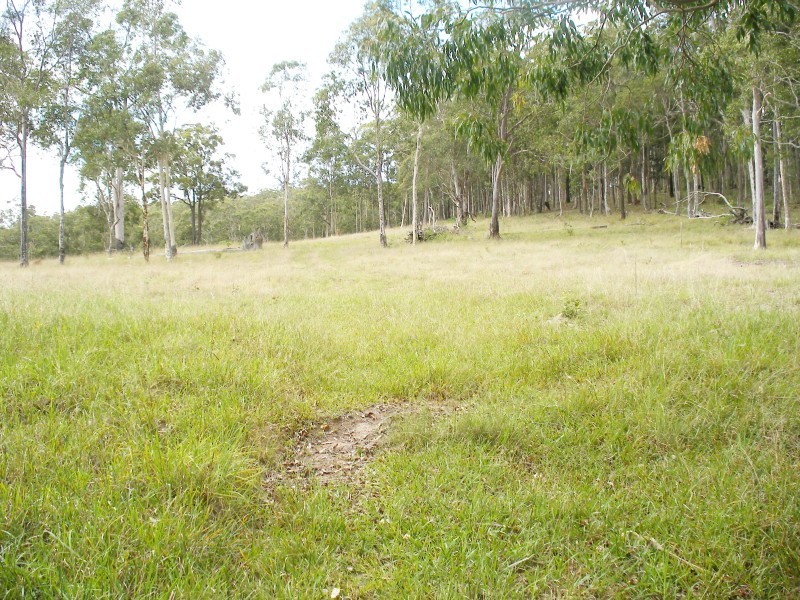 266 Winston, Eagleton NSW 2324