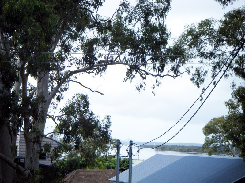 57 Holdom Road, Karuah NSW 2324