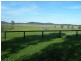 - – - – -, Brandy Hill NSW 2324