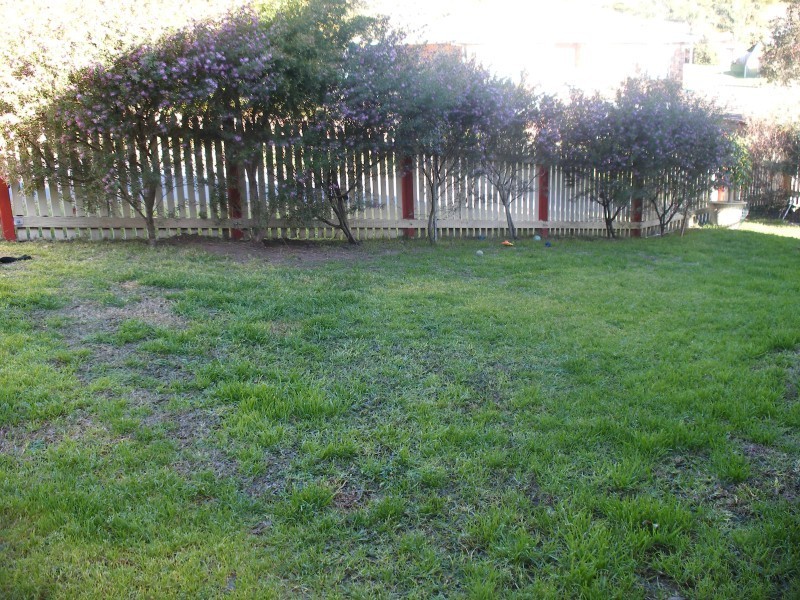 3A/1 Elliott Close, Raymond Terrace NSW 2324