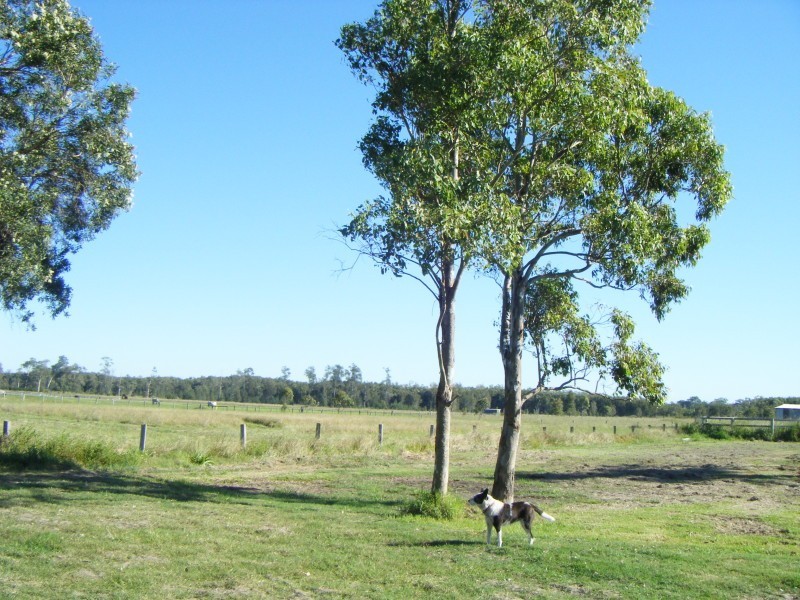 106 Cabbage Tree Road, Williamtown NSW 2318