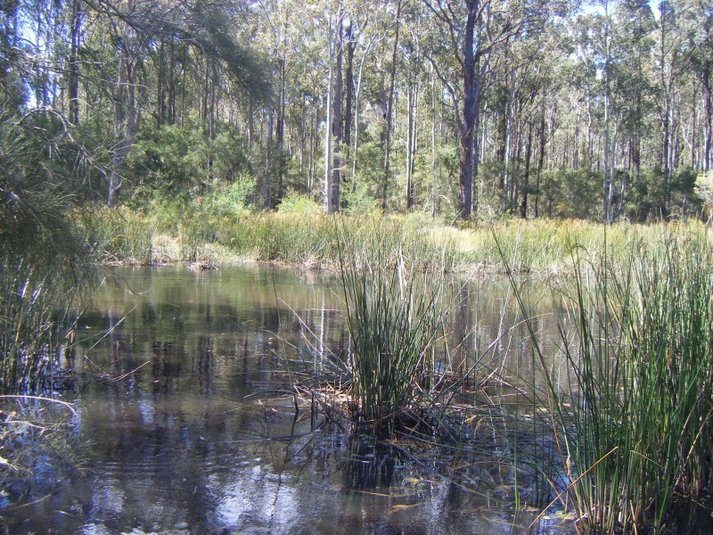 1090 East SeahamRd, Clarence Town NSW 2321