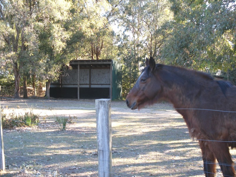 523 Seaham Road, Nelsons Plains NSW 2324