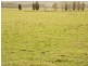 1030 Newline Rd, East Seaham NSW 2324