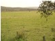 1030 Newline Rd, East Seaham NSW 2324