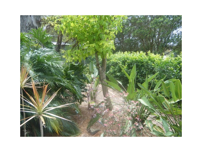 21 Barrellier Close, Raymond Terrace NSW 2324