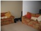 103 Alton Road, Raymond Terrace NSW 2324