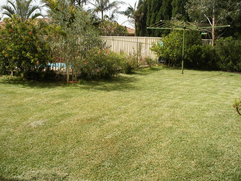 103 Alton Road, Raymond Terrace NSW 2324
