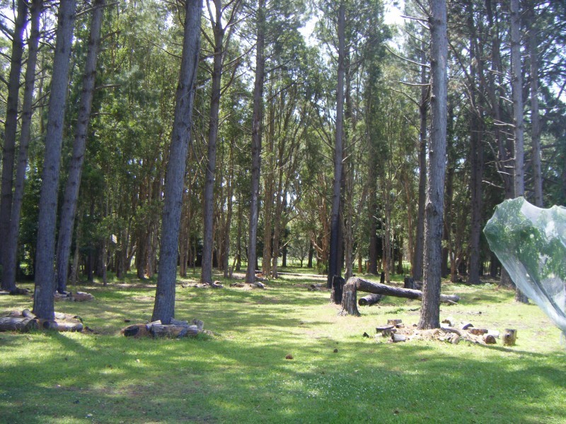 135 Lemon Tree Passage Rd, Salt Ash NSW 2318