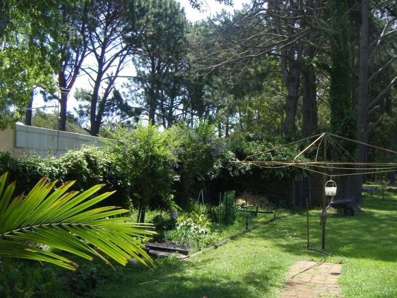 135 Lemon Tree Passage Rd, Salt Ash NSW 2318