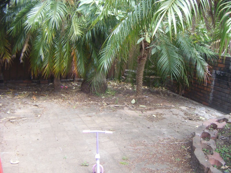 9 Elm Avenue, Medowie NSW 2318