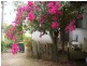 16 Round Hill Close, Karuah NSW 2324