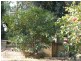 16 Round Hill Close, Karuah NSW 2324
