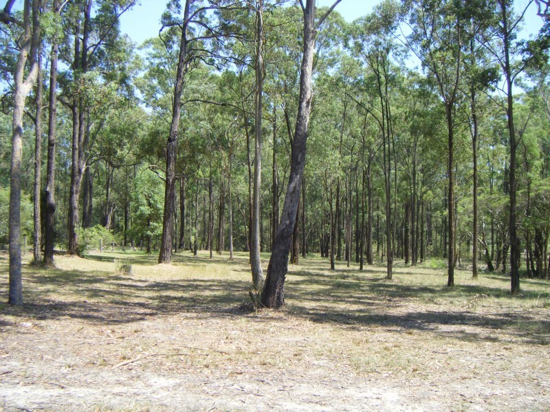 33 Timbertop Rd, Glen Oak NSW 2320