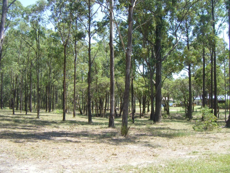 33 Timbertop Rd, Glen Oak NSW 2320