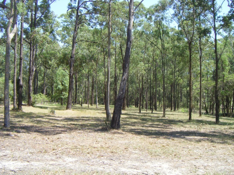 33 Timbertop Rd, Glen Oak NSW 2320