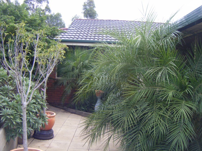 24 Cooper Place, Raymond Terrace NSW 2324