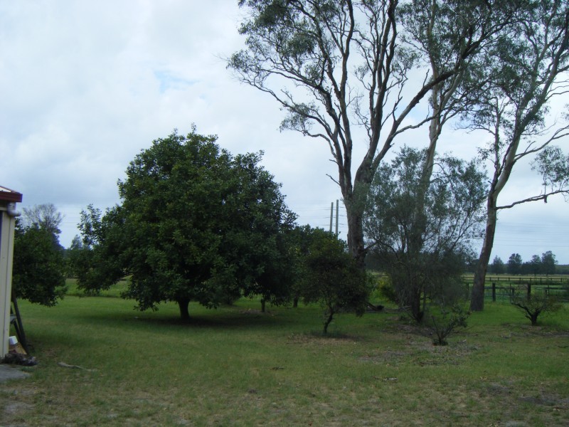 415 Cabbage Tree Road, Williamtown NSW 2318