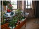 100 Richardson Road, Raymond Terrace NSW 2324