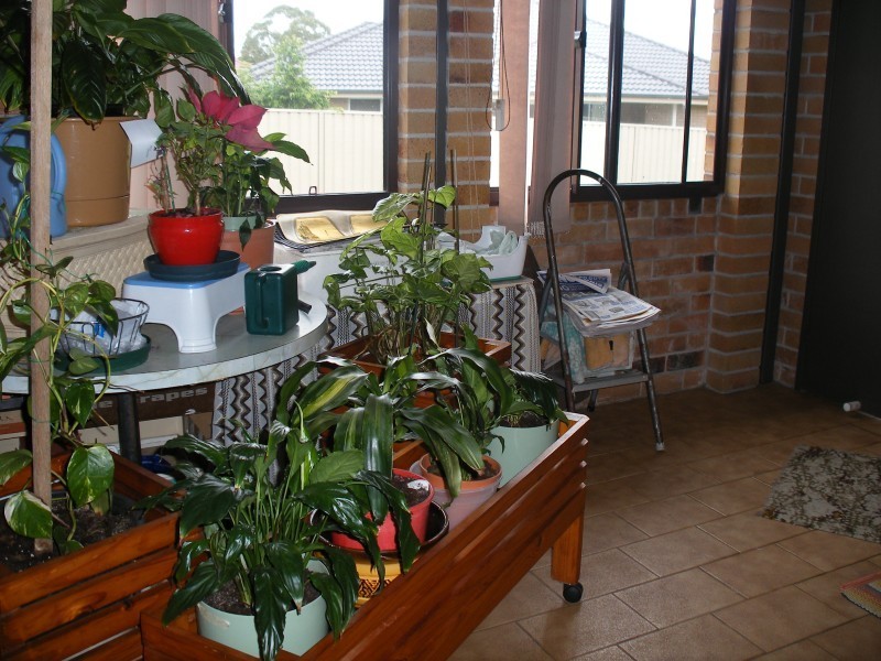 100 Richardson Road, Raymond Terrace NSW 2324