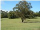 1/26 Irrawang Street, Raymond Terrace NSW 2324