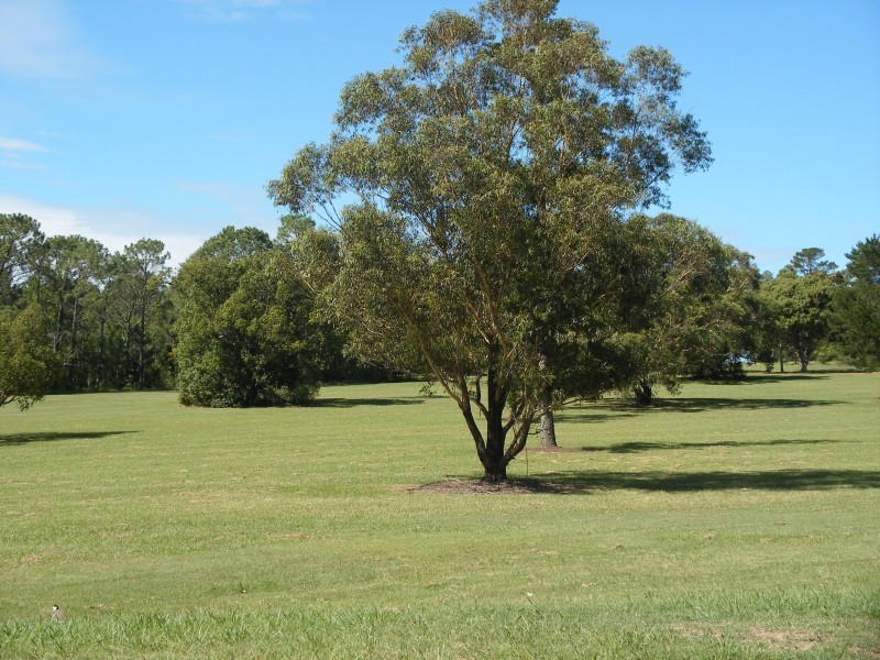 1/26 Irrawang Street, Raymond Terrace NSW 2324