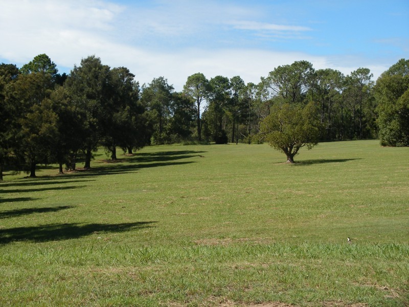 1/26 Irrawang Street, Raymond Terrace NSW 2324