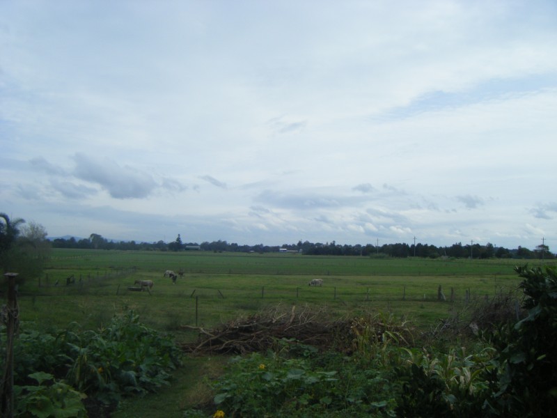 33/37 Ann Street, Hinton NSW 2321